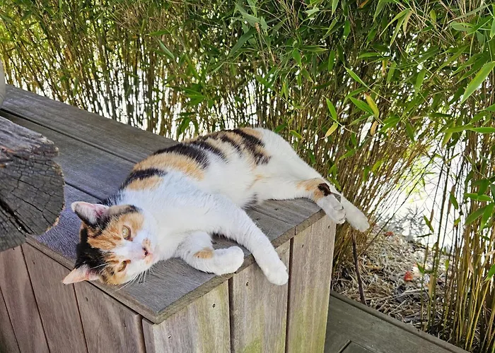 Hey Spreewald Ferienapartments